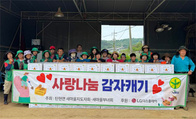 탄현면 새마을회, 사랑의 감자 수확 기사 이미지
