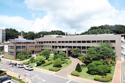 경기도생활체육대축전 대비 안전한 먹거리, 안심 숙박 준비 완료! 기사 이미지