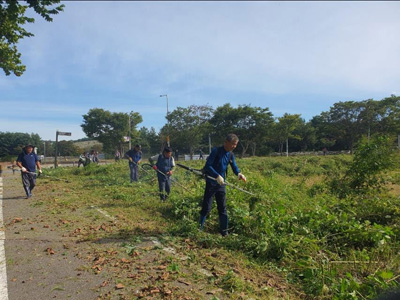탄현면 이장단, 추석맞이 생태계 교란 식물 제거활동 펼쳐 기사 이미지