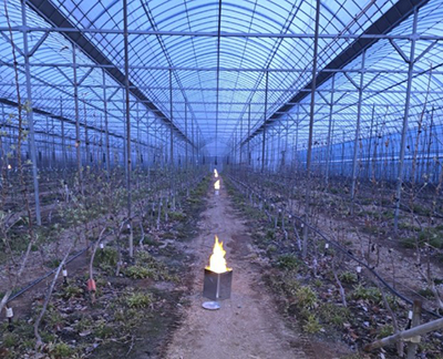 원예특작분야 기술보급사업 대상자 모집 기사 이미지