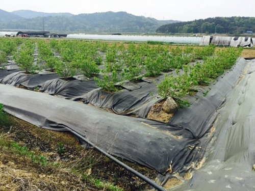 2026년 환경친화형 농자재 지원사업 신청 시작 기사 이미지