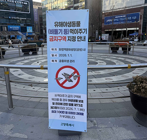 비둘기 등 유해야생동물 먹이주기 금지구역 10개소 지정 기사 이미지