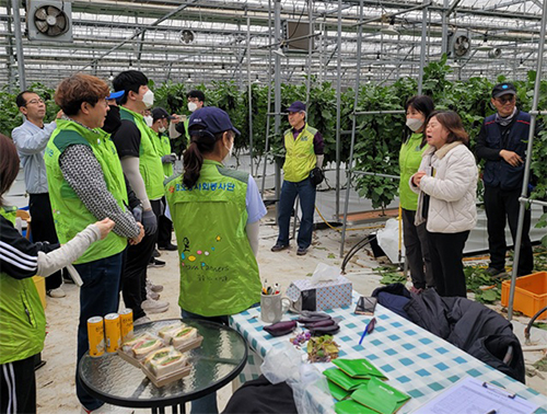 파주읍, 민관 협력 통한 농가 피해 최소화 나서 기사 이미지