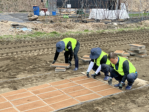 농심천심 농협중앙회 파주시지부 영농지원 발대식 및 농촌일손돕기 기사 이미지