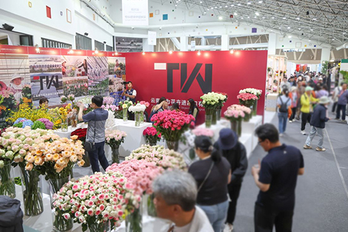 꽃향기 가득한 5월, 인생샷 남기고 싶다면 고양국제꽃박람회로 기사 이미지