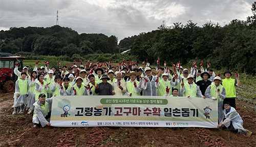 광탄농협 고구마 수확 일손 돕기 기사 이미지