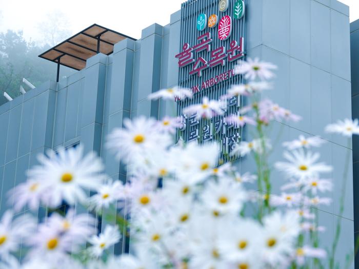 파주 율곡수목원, 가을을 만지고 걷고 쉬다…‘율곡힐링캠프’ 기사 이미지